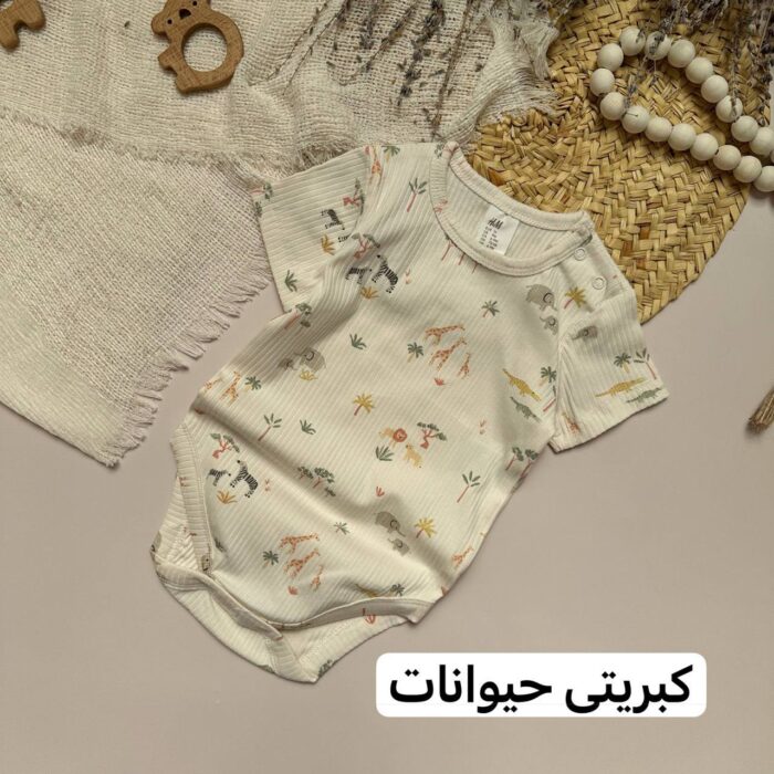 بادی اچ اند ام - Image 4
