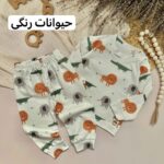 ست بلوز شلوار اقتصادی - Image 2