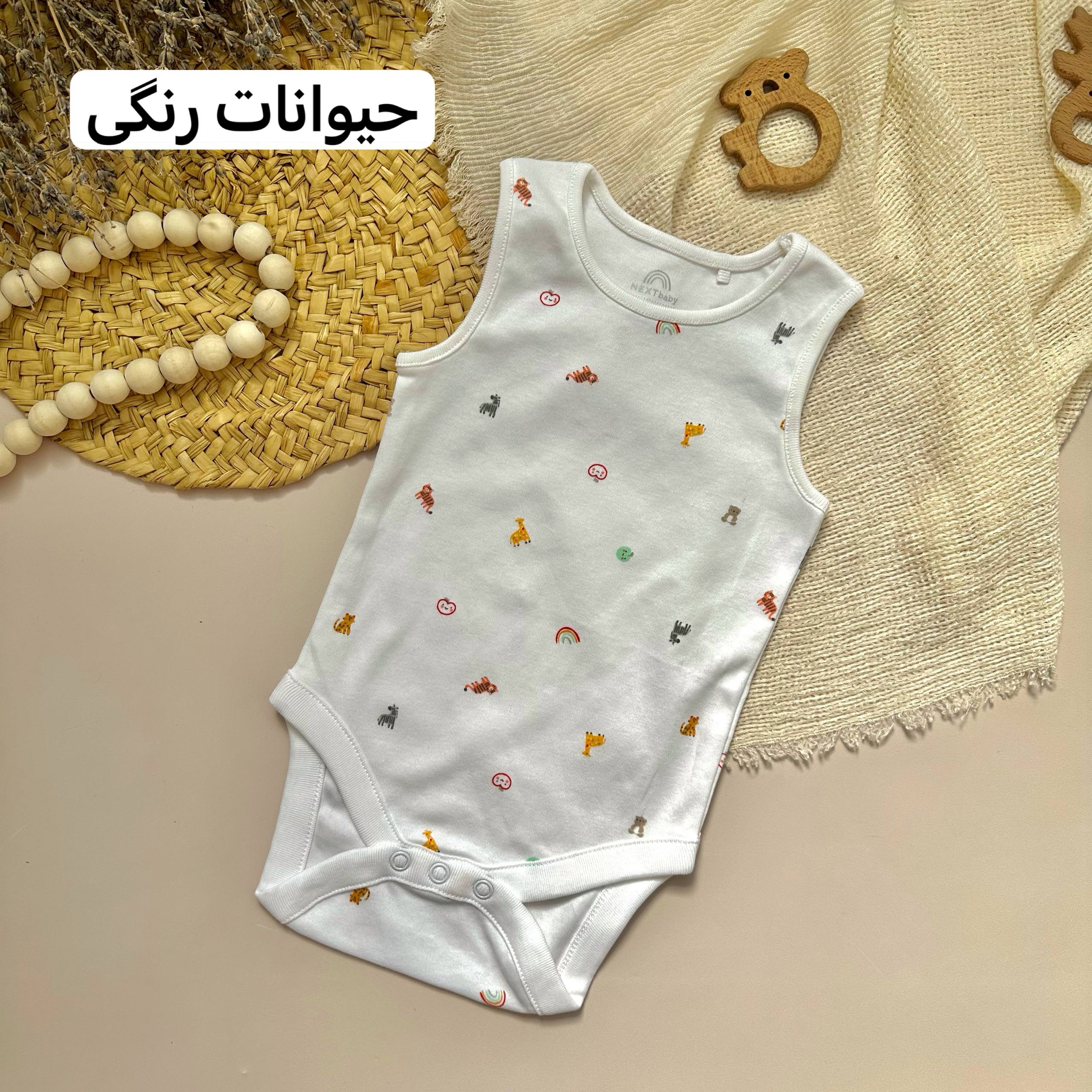photo_2025-10-08_15-58-59 بادی رکابی - Image 2