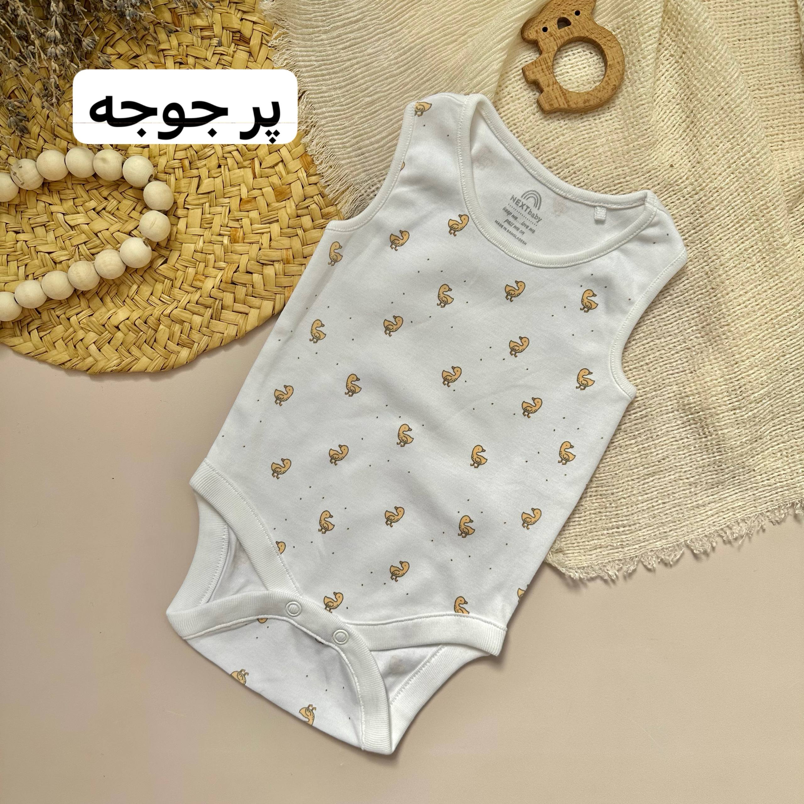 photo_2025-10-08_15-59-01 بادی رکابی - Image 3