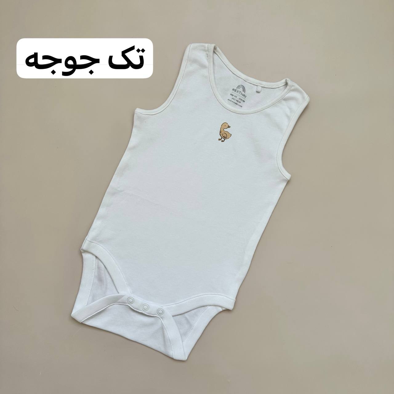 photo_2025-10-08_15-59-09 بادی رکابی - Image 7