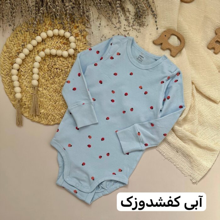 بادی لیندکس - Image 3