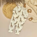 سرهمی اچ اند ام